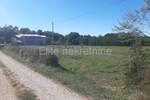 Plac, Umag, Murine, prodaja, 20000m2, 3090000e, id11767