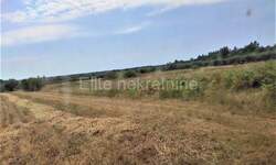 Plac, Poreč, Frata, prodaja, 4371m2, 93000e, id11967