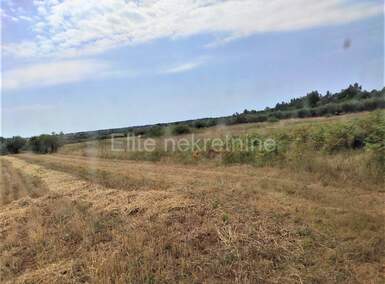 Plac, Poreč, Frata, prodaja, 4371m2, 93000e, id11967