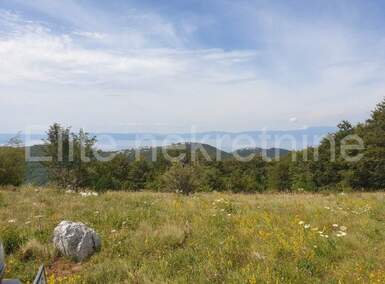 Plac, Bakar, Hreljin, prodaja, 5518m2, 38000e, id12295