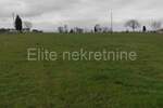 Plac, Barban, Barban, prodaja, 35000m2, 260000e, id12990