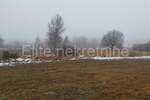 Plac, Delnice, Zalesina, prodaja, 22000m2, 120000e, id13099