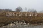 Plac, Delnice, Zalesina, prodaja, 22000m2, 120000e, id13099