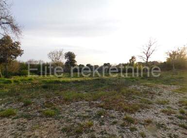 Plac, Pula, Pula, prodaja, 14235m2, 133000e, id13545