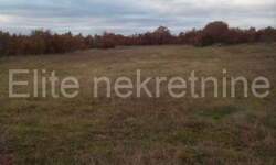 Plac, Vodnjan, Vodnjan, prodaja, 6000m2, 62000e, id13692