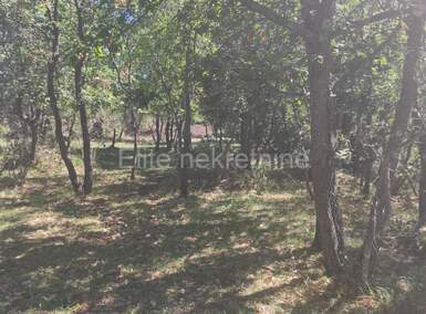 Zemljiste, Marčana, Filipana, prodaja, 228500 €, 44659 m2