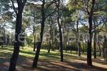 Plac, Rovinj, Rovinj, prodaja, 12058m2, 2127000e, id13976