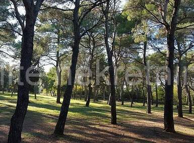 Plac, Rovinj, Rovinj, prodaja, 12058m2, 2127000e, id13976