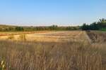 Plac, Bale, Bale, prodaja, 11190m2, 115000e, id17621