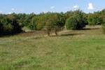 Plac, Labin, Labin, prodaja, 4860m2, 170000e, id17747