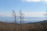 Plac, Opatija, Veprinac, prodaja, 9120m2, 1480000e, id18124