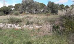 Plac, Pula, Centar, prodaja, 841m2, 75000e, id18374