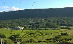 Kuca, Novi Vinodolski, Novi Vinodolski, prodaja, 144m2, 182000e, id1730