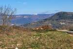 Plac, Buzet, Buzet, prodaja, 1684m2, 85000e, id17321