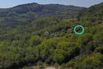 Kuca, Motovun, Motovun, prodaja, 443m2, 315000e, id14654