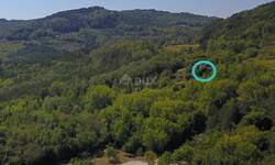 Kuca, Motovun, Motovun, prodaja, 443m2, 315000e, id14654