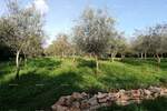 Plac, Fažana, prodaja, 0m2, 156457e, id22804