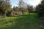 Plac, Fažana, prodaja, 0m2, 156457e, id22804