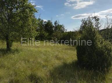 Plac, Oprtalj, Oprtalj, prodaja, 10452m2, 32000e, id23527