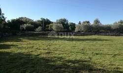 Plac, Marčana, Kavran, prodaja, 1542m2, 180000e, id26063