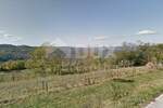 Plac, Motovun, Motovun, prodaja, 3059m2, 235000e, id27839