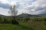 Plac, Motovun, Motovun, prodaja, 53941m2, 1460000e, id28025