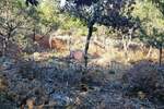 Plac, Mali Lošinj, Mali Lošinj, prodaja, 752m2, 39500e, id28221