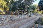 Plac, Mali Lošinj, Mali Lošinj, prodaja, 752m2, 39500e, id28221