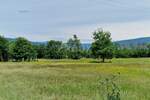 Plac, Labin, Labin, prodaja, 2722m2, 90000e, id22068