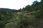 Plac, Buzet, Buzet, prodaja, 8721m2, 33000e, id3817