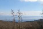 Plac, Opatija, Veprinac, prodaja, 9120m2, 1880000e, id31296