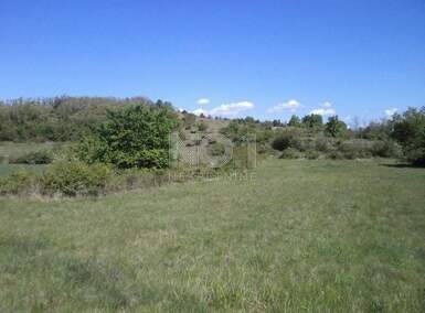 Plac, Pazin, Trviž, prodaja, 46576m2, 213000e, id31755