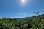 Plac, Buzet, Buzet, prodaja, 23970m2, 250000e, id32271