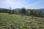 Plac, Buzet, Hum, prodaja, 8727m2, 46000e, id33162