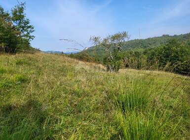 Plac, Buzet, Hum, prodaja, 10611m2, 55000e, id33163