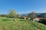 Plac, Motovun, Motovun, prodaja, 2553m2, 220000e, id34488