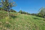 Plac, Motovun, Motovun, prodaja, 2553m2, 220000e, id34488