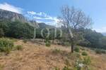 Plac, Vinodol, Bribir, prodaja, 11900m2, 800000e, id35245