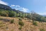 Plac, Vinodol, Bribir, prodaja, 11900m2, 800000e, id35245