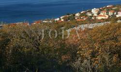 Plac, Novi Vinodolski, Klenovica, prodaja, 2507m2, 388585e, id35448