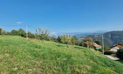 Plac, Motovun, Motovun, prodaja, 2553m2, 220000e, id34488