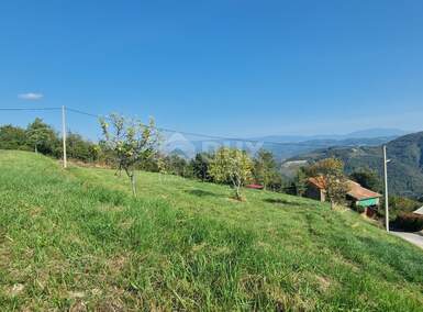 Plac, Motovun, Motovun, prodaja, 2553m2, 220000e, id34488