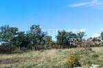 Plac, Umag, Umag, prodaja, 3551m2, 185000e, id36261