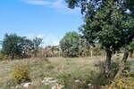 Plac, Umag, Umag, prodaja, 3551m2, 185000e, id36261