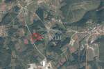 Plac, Barban, Barban, prodaja, 18603m2, 95000e, id36727