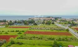 Plac, Novigrad, Novigrad, prodaja, 3167m2, 728000e, id38262