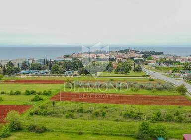 Plac, Novigrad, Novigrad, prodaja, 3167m2, 728000e, id38262