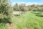 Plac, Bale, Bale, prodaja, 16169m2, 240000e, id39869