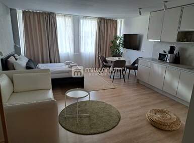 Jednosoban stan, Rijeka, Brajda, najam, 24m2, 690e, id40238