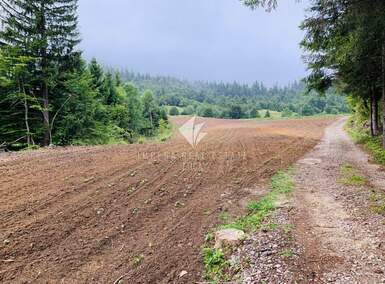 Plac, Fužine, Belo Selo, prodaja, 12000m2, 25000e, id40603